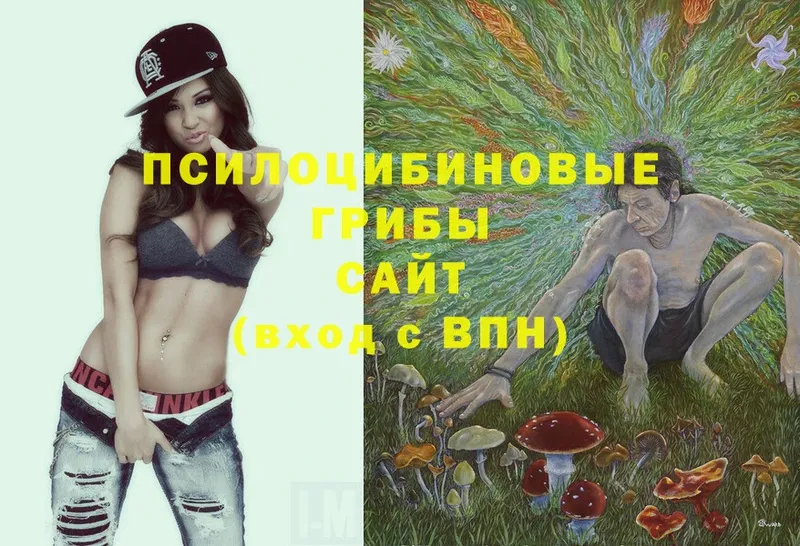 даркнет сайт  Конаково  Псилоцибиновые грибы Cubensis 